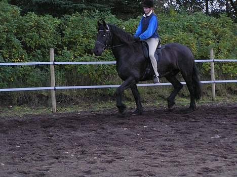 Frieser Oliver fra friesenborg - "yes! jeg elsker langsiden" billede 4
