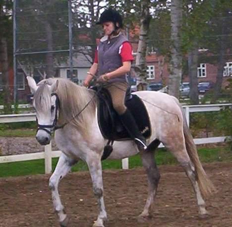 Anden særlig race Quindy *SOLGT* billede 6