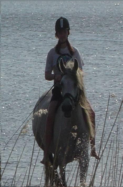 Anden særlig race Quindy *SOLGT* - Ih , på tur i fjorden :D billede 10