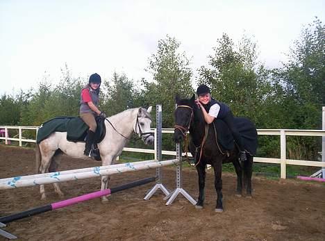 Anden særlig race Quindy *SOLGT* - Putte & Basse ! billede 15