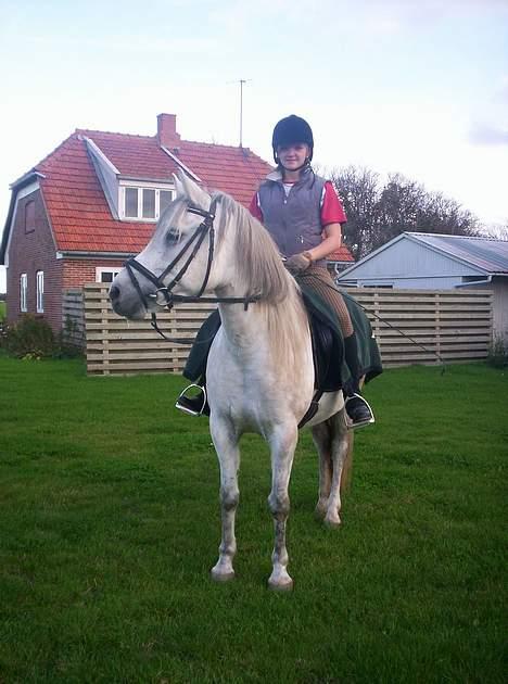 Anden særlig race Quindy *SOLGT* - Nysgerri ?? billede 19