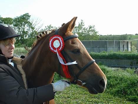 New Forest Cindy - Cindy og mig til stævne i hyllebjerg 2005 billede 2