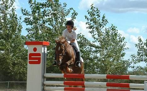 New Forest Cindy - Cindy og Maiken min lille søster (maiken h) til masterspringning her er de oppe på 110. billede 10