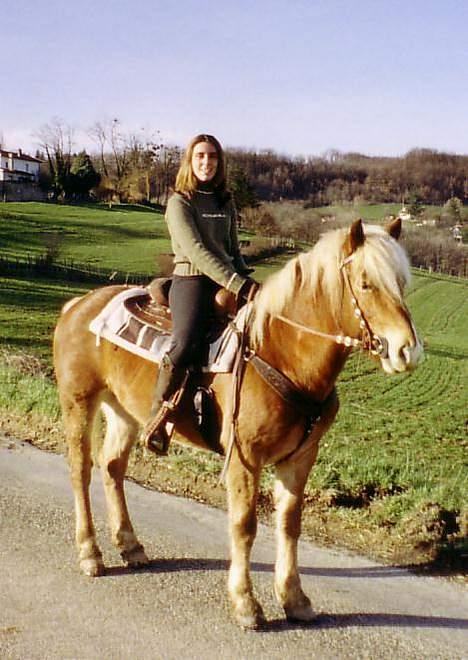 Haflinger Kenzo 00-11/3-06 :'( billede 8