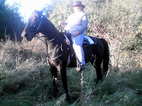 Traver Peppe Skovsgård (Død)  billede 5