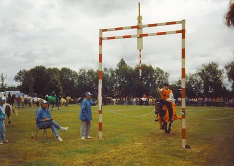 Gotlandsruss Daisy *RIP* :´o( - Her er Daisy og jeg til ringridning klædt som riddere! August 94 billede 14