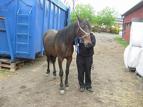 Traver No Surprice M(vesla)død - Så stå dog stille! billede 10