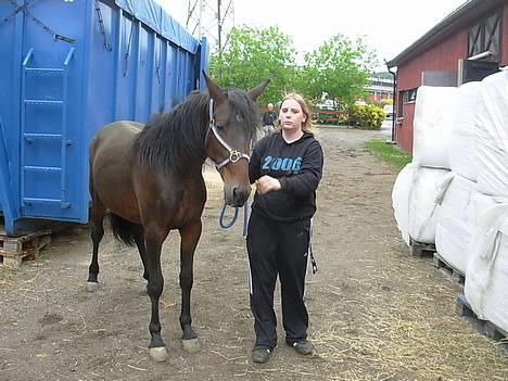 Traver No Surprice M(vesla)død - hmm..ikke så godt billede:p ser lidt muggen ud..tihi..men hun bed meg ski li i hodet billede 12