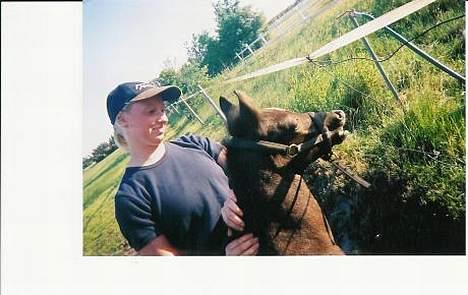 New Forest Moonlight - Nu er jeg sørme brun, ihhhh hvor  er det sjovt billede 10