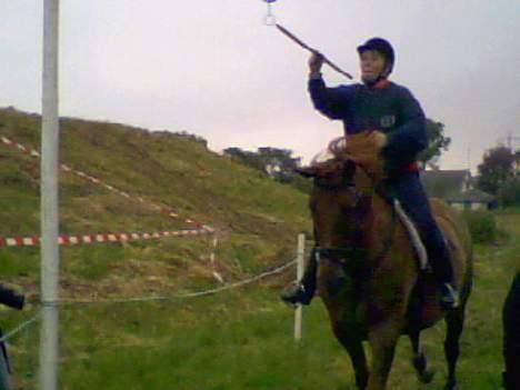 Dansk Varmblod Tjargo Star - Mig og Tjargo til ringridning i Aggersund, det elsker han. billede 10