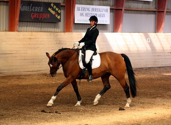 Anden særlig race Queen Of Shéba  - Sommer stævne på ÅRSK 09 :)  billede 6