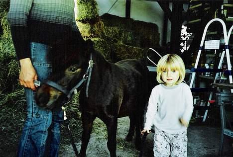 Miniature Munkebjergs Mallou(solgt) - hallo hvorfor fletter du mig jeg er jo bare en lille hygge pony. billede 12
