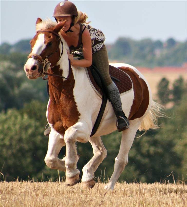 Anden særlig race Joe - hvil i fred - Sommer :) billede 18