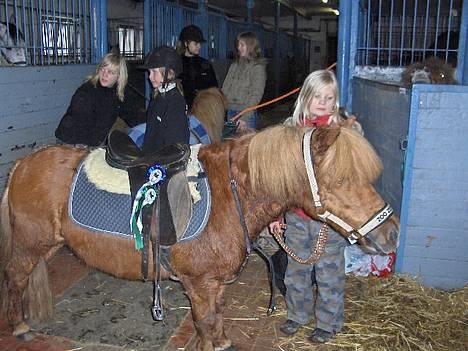 Shetlænder Knud - LE , 1 april 2006 . :D billede 12