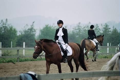 Anden særlig race Agent 007<31994 -2007 / - skridter, efter LB 2!! fik 9 i parade!!! hihi billede 9