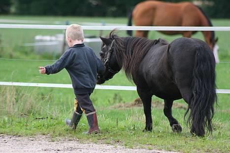Shetlænder Tulle - min bror og min pony er de ikke søde. billede 6