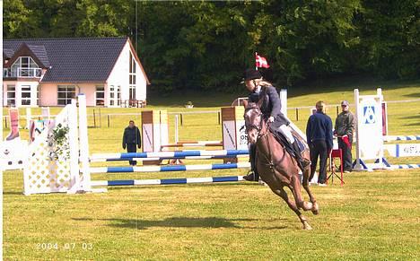 Knabstrupper Desna solgt )':  - Grrrrrr miq og dyret til morsø ! billede 5