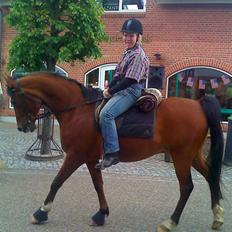 Anden særlig race Sevilla