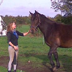 Oldenborg Chanell SOLGT 