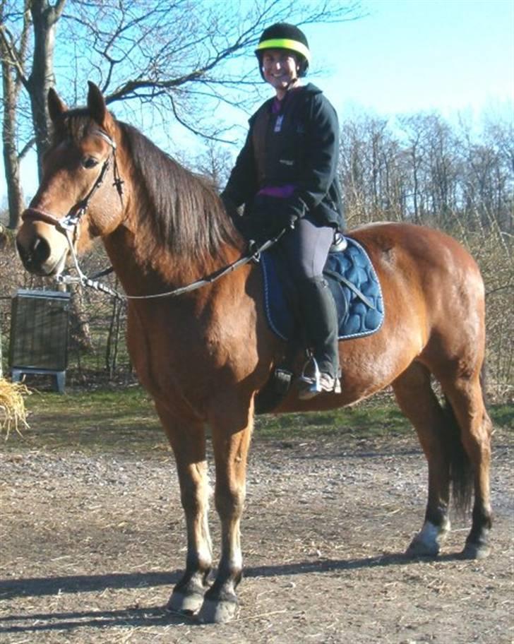 Anden særlig race Shadow billede 5