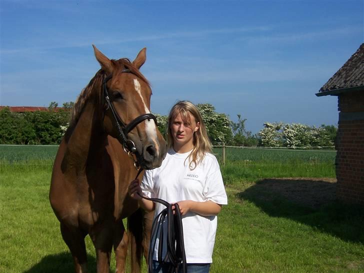 Dansk Varmblod playboy blitz  R.I.P - playboy og mig billede 7