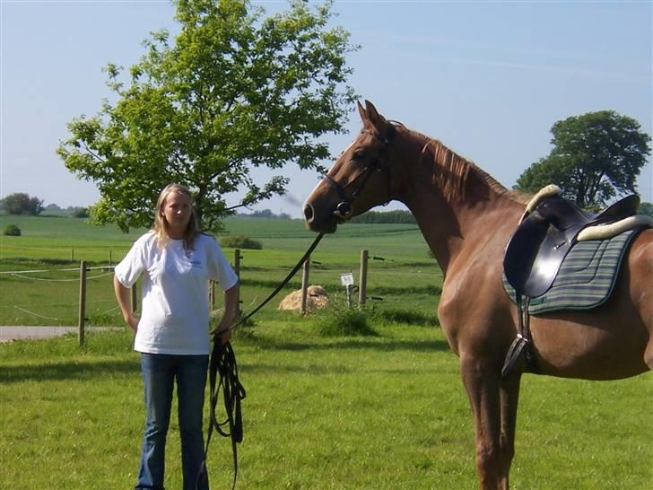 Dansk Varmblod playboy blitz  R.I.P - playboy og mig billede 12