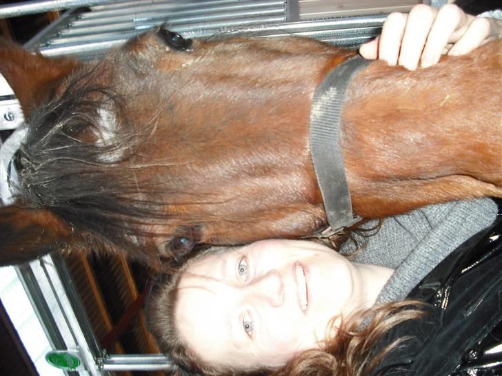 Traver Dot Salar(Doggi)solgt - Første billede af Doggi og mig på stald:-) billede 2