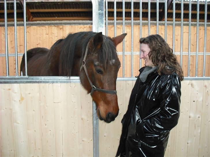 Traver Dot Salar(Doggi)solgt billede 5