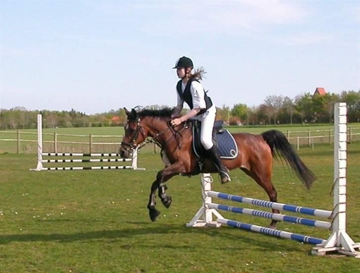 Anden særlig race Topaze's Almira Dream<3 - Almira springer :D<3 billede 14