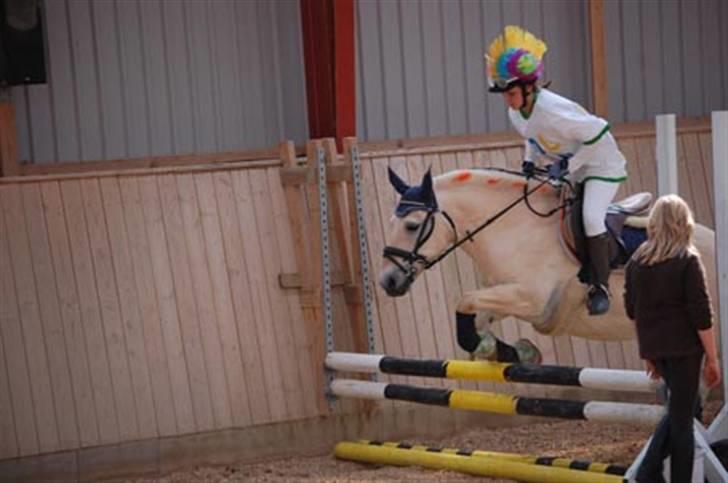 Fjordhest Sunshine Laban - NMRC - Stævne d. 2/8-09. Holdspring - cool man! :-D (Foto: Gregers Melchiorsen) billede 16