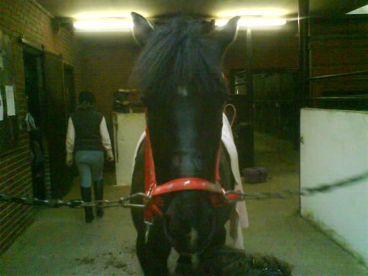 Anden særlig race Beauty - Beauty med hendes søde nye røde grime billede 3