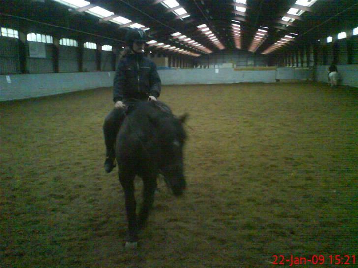 Anden særlig race Beauty - Så rider vi! billede 5