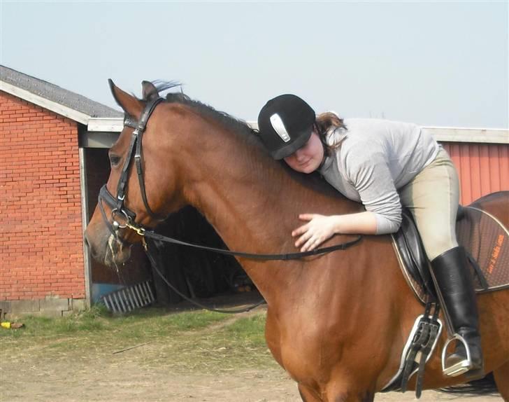 Dansk Varmblod Lori - Min hest  - Elsker min dejlige Lori :) billede 12