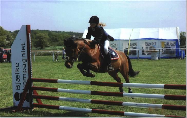 DSP Snit A-pony - Miin lille "RULLEPØLSE" billede 18