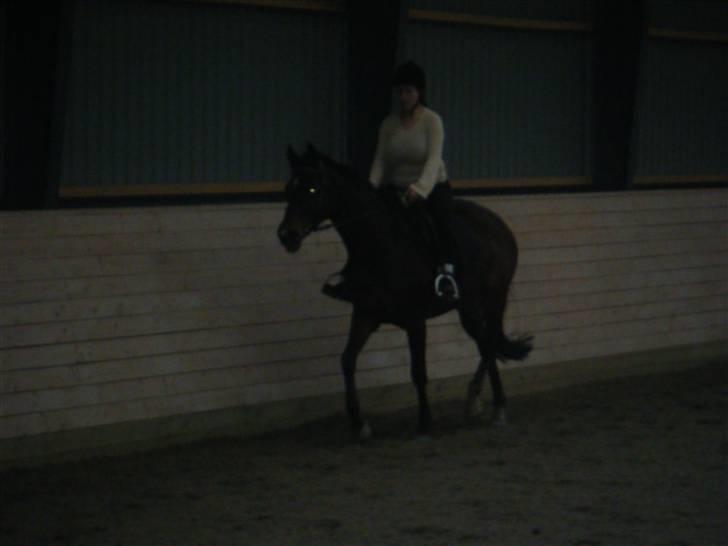 Anden særlig race Sheza - Leveret tilbage   billede 8