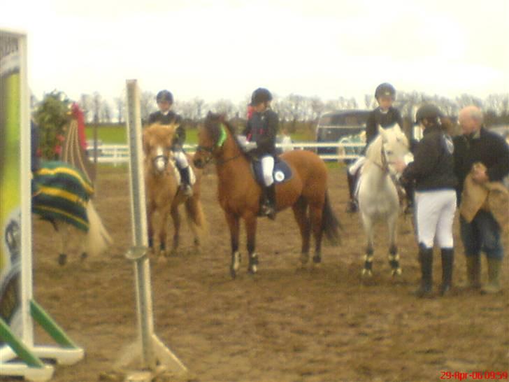 DSP Snit A-pony - Snit og mig til vores første stævne. LB 6. plads. billede 20