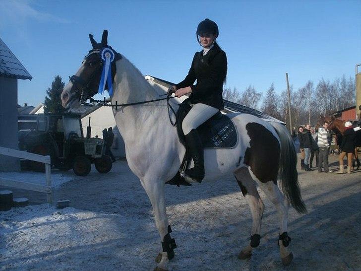 Pinto Picasso(my soulmate) - Fra stævnet i dag den 30/01-11.  D4 cuppen.!!!.. billede 19