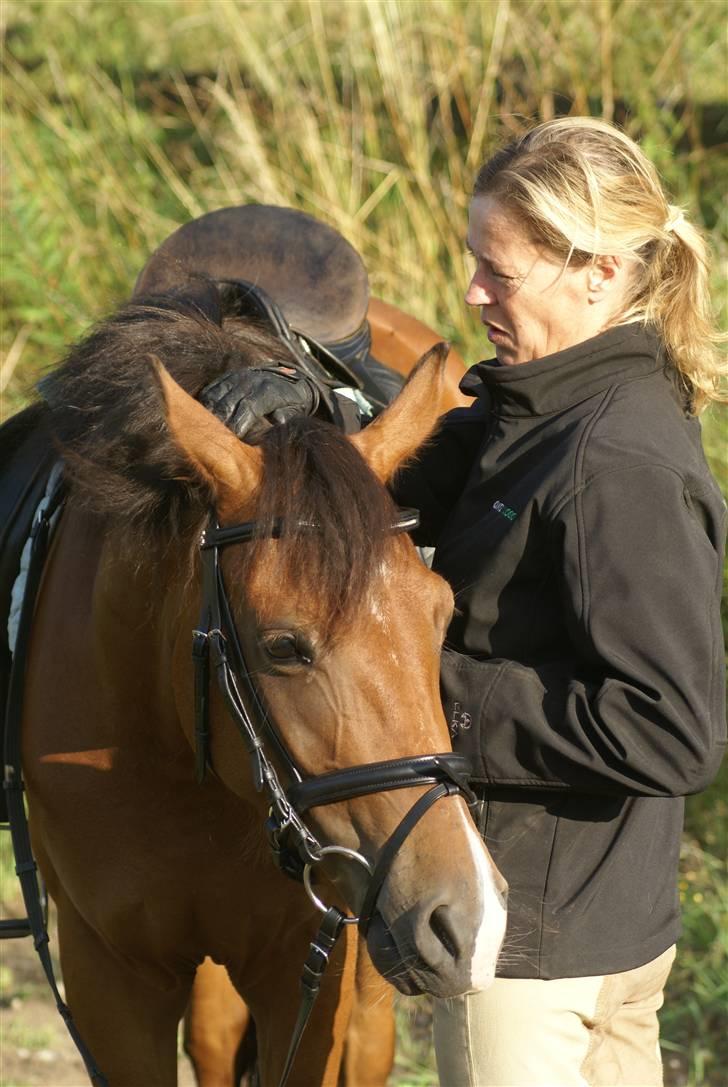 DSP Avalon *Søsters* - taget af Lea ;) billede 18