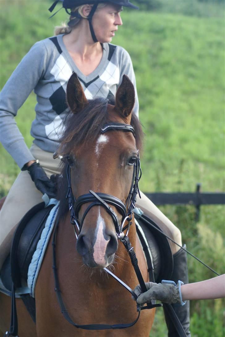 DSP Avalon *Søsters* - taget af Lea ;) billede 19