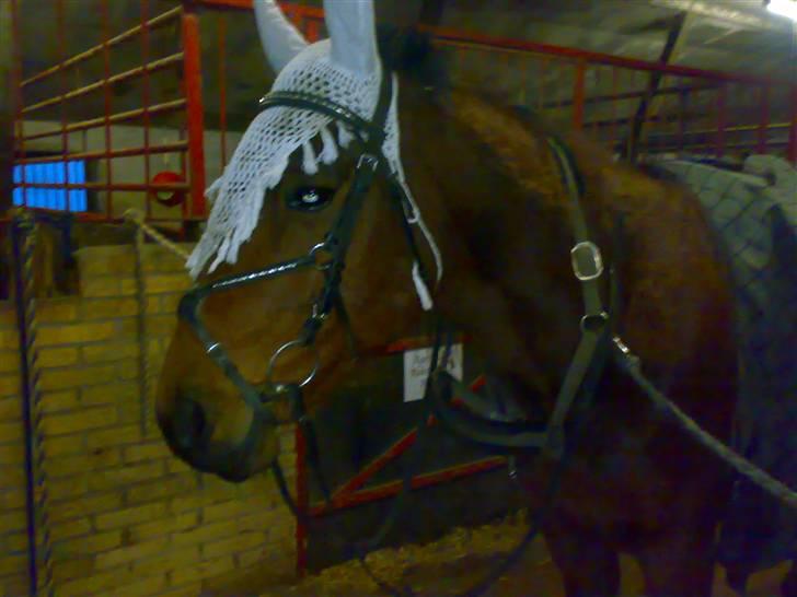 Traver Baron EK (s) solgt billede 19