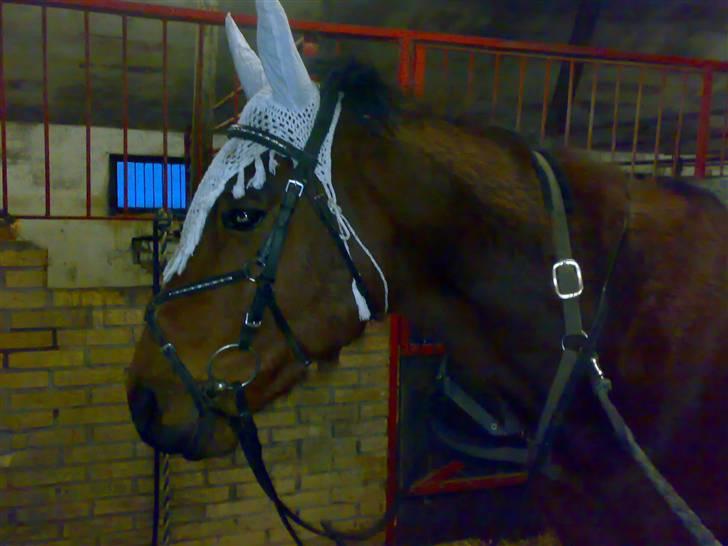 Traver Baron EK (s) solgt billede 20