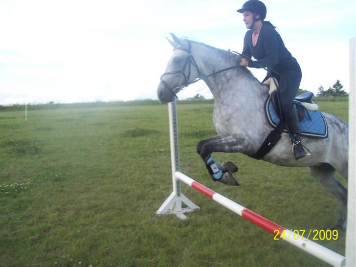 Sportsaraber (A) toujour R.I.P billede 6