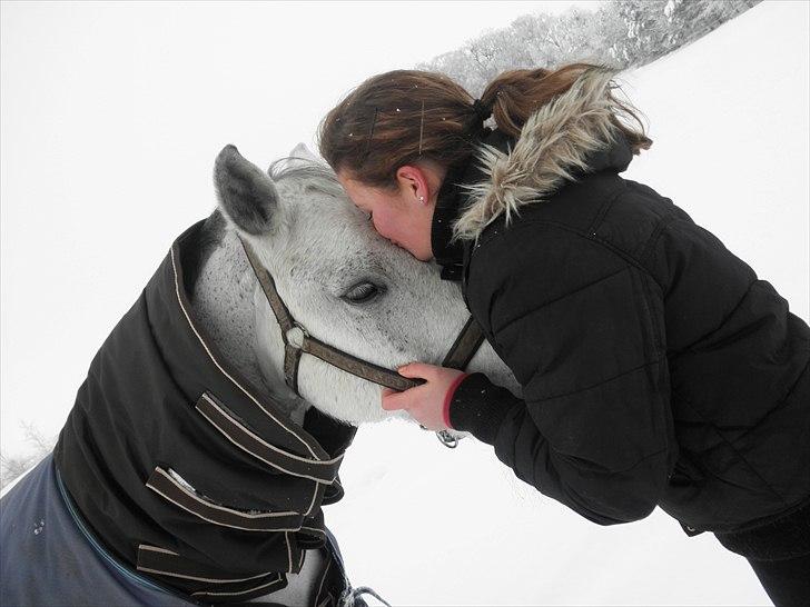 Anden særlig race Skipper Mønstergård. *A-Pony* - min ponyprins! <3 - julen 2010.
If I had to choose between loving you and breathing, I would use my last breath to say I love you!
 billede 14
