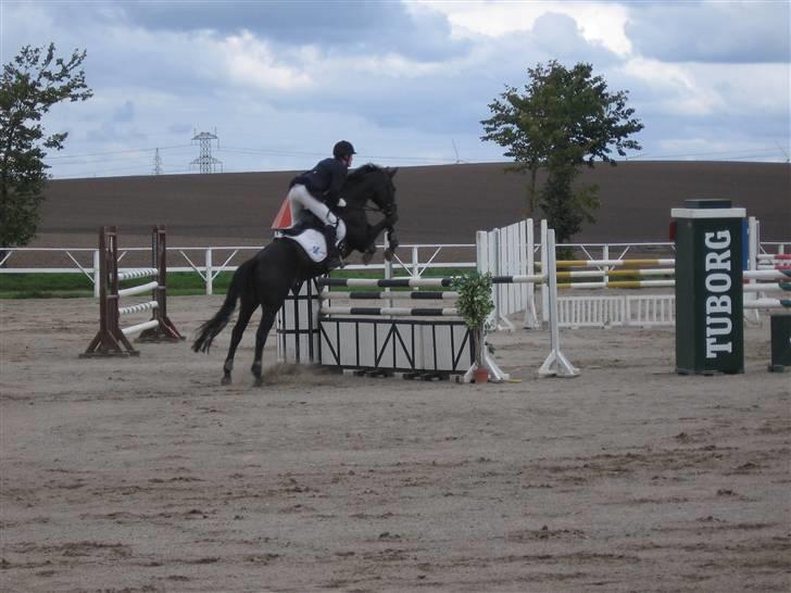 Fuldblod (XX) La Corona - Distriktsmesterskaber 2008 billede 14