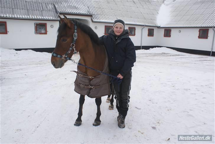 New Forest Nyskovens Baunty <3 R.I.P - Hej og velkommen til min profil. Jeg hedder Nyskovens Baunty, men bliver kaldt Baune. Læg gerne en kommentar til billederne:) billede 1