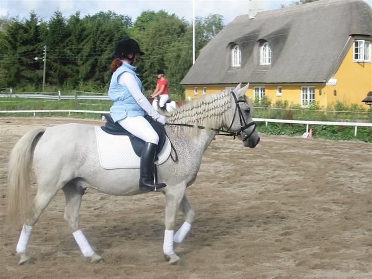 Anden særlig race Leight Garbo - ved godt manen er grim - var så stolt af den hihi billede 12