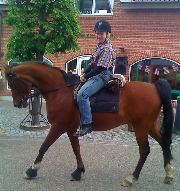 Anden særlig race Sevilla billede 1