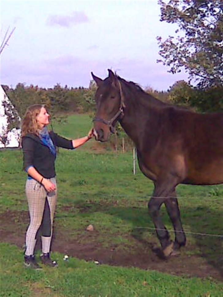 Oldenborg Chanell SOLGT  billede 3