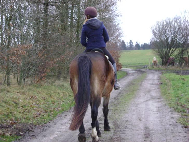 Oldenborg Chanell SOLGT  billede 5