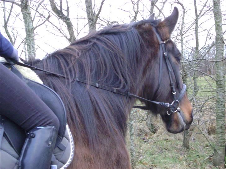 Oldenborg Chanell SOLGT  billede 6